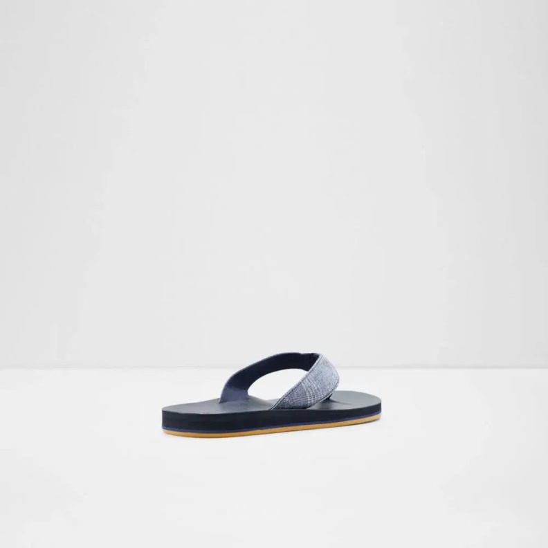 Navy Weallere Men's Flat Thong Sandal Aldo Fashion