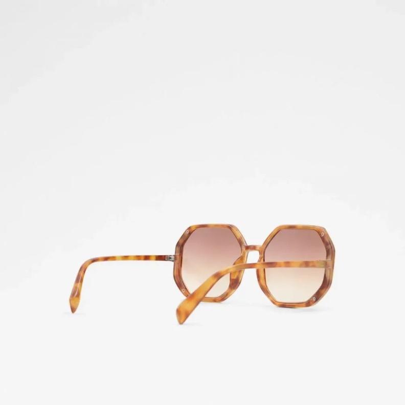 Fashion Rust Wianad Women's Accessories Sunglasses Aldo