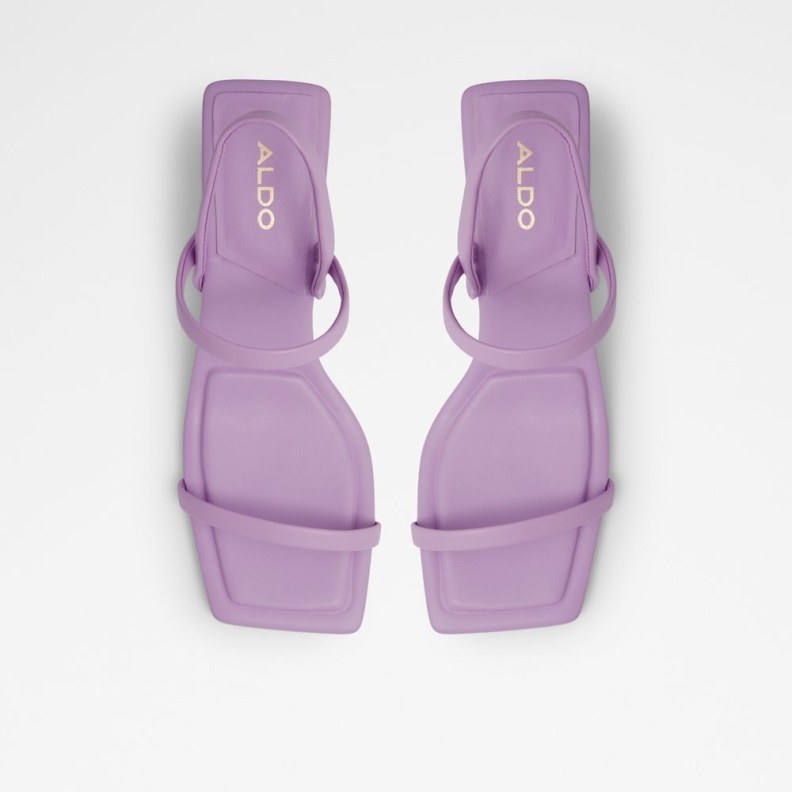 Lokurr Purple Aldo Fashion
