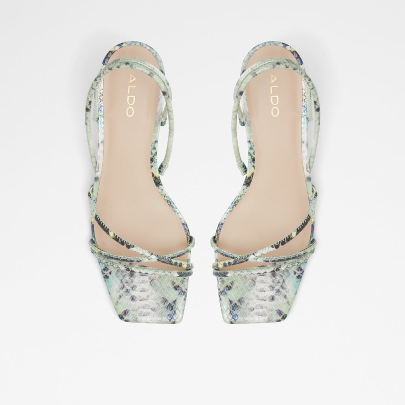 Black Pythonda Fashion Aldo