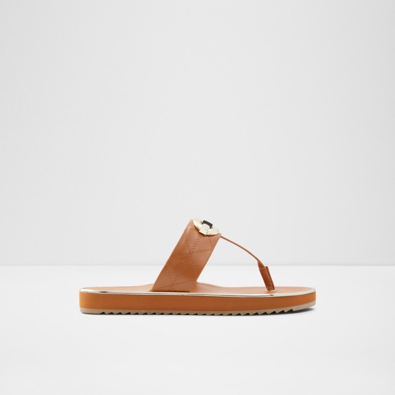 Fashion Aldo Black Searene