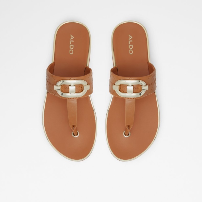 Fashion Aldo Black Searene