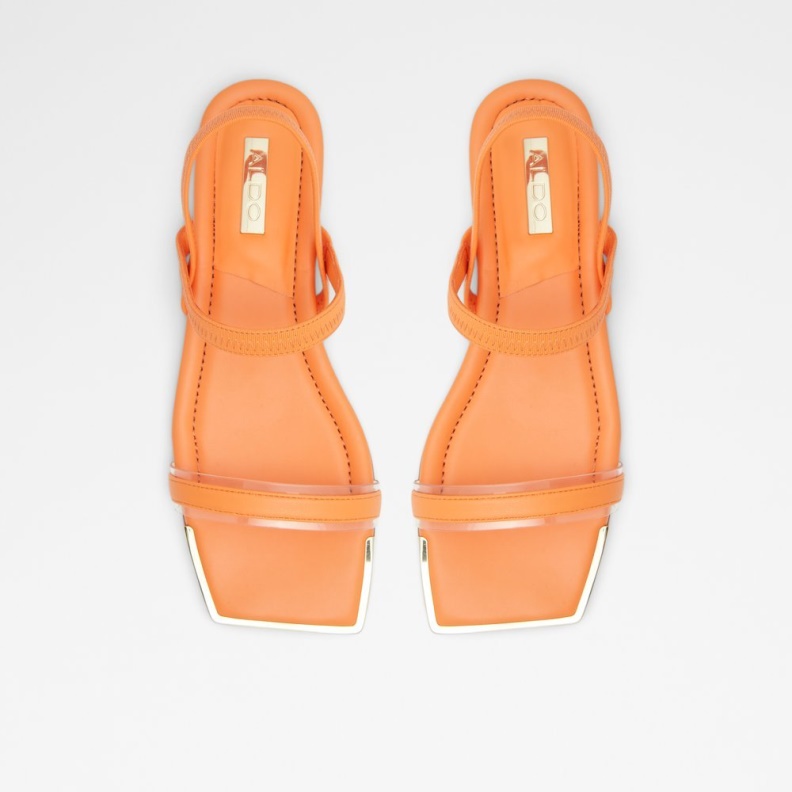 Aldo Fashion Black Wiciratha