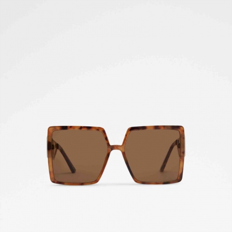 Aldo Fashion Brown Annerelia Sunglasses