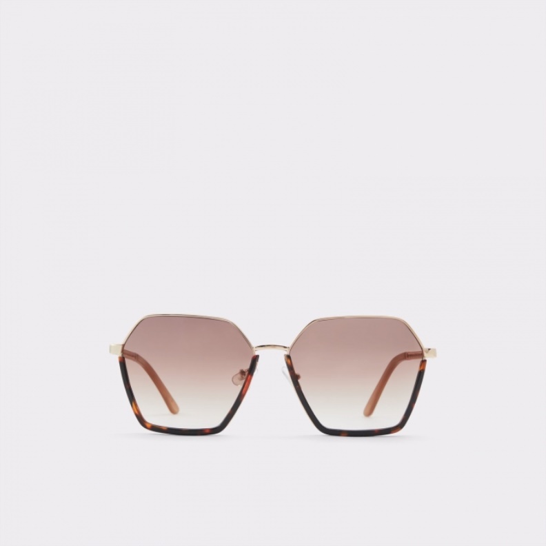 Aldo Olale Sunglasses Brown Fashion