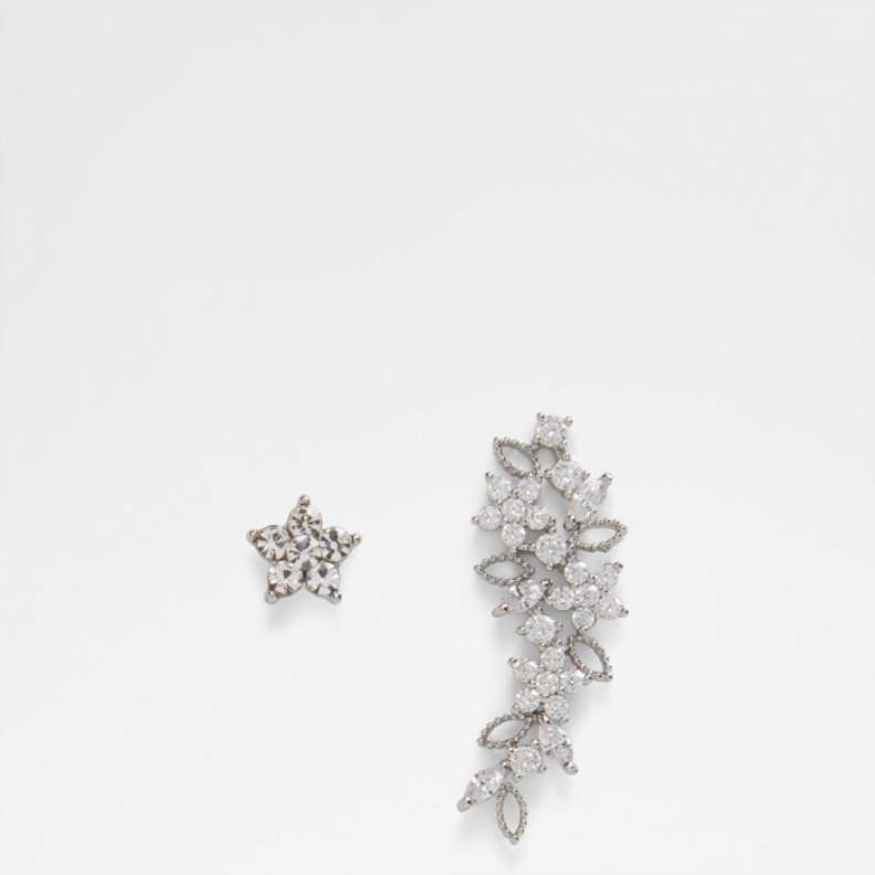 Fashion Multi Aldo Olewia Earrings