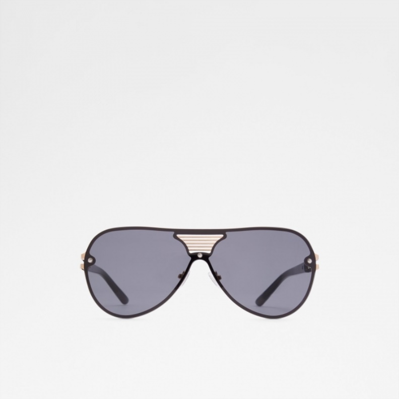 Multi Aonyx Sunglasses Aldo Fashion