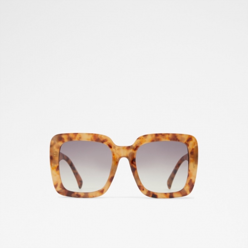 Thalin Sunglasses Fashion Brown Aldo