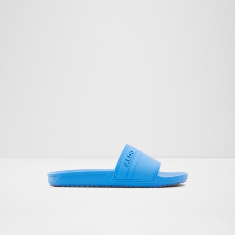 Dinmore Flat Sandals Blue Aldo Fashion