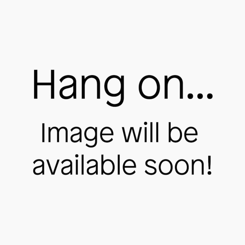 Aldo Fashion Weverlaan Women's Accessories Necklace